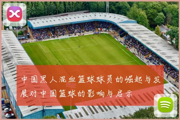 中国黑人混血篮球球员的崛起与发展对中国篮球的影响与启示