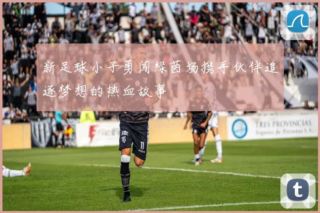 新足球小子勇闯绿茵场携手伙伴追逐梦想的热血故事